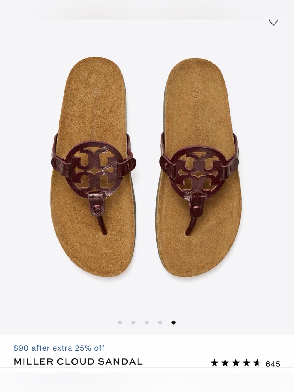 NWT Miller Cloud Thong Sandals in Brown and Burgundy